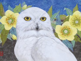 村越 由子（Yuko Murakoshi）｜Artist 作家紹介｜如月美術 KISARAGI