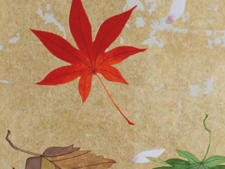 日本画「貝殻図」村越由子 3号 村越由子 - 絵画通販・販売・オンラインショップ｜いつき美術画廊